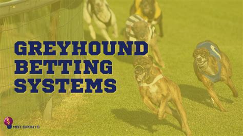 greyhound betting systems that win